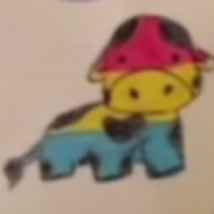 Meet your Posher, Emma